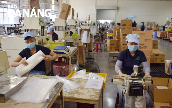 Enterprises has seen positive signs in their production and business activities in the first months of the year, especially when the entry into force of FTAs. Here is an image of production activities at the Apple Film Co., Ltd in Hoa Cam Industrial Park, Cam Le District. Photo: KHANH HOA